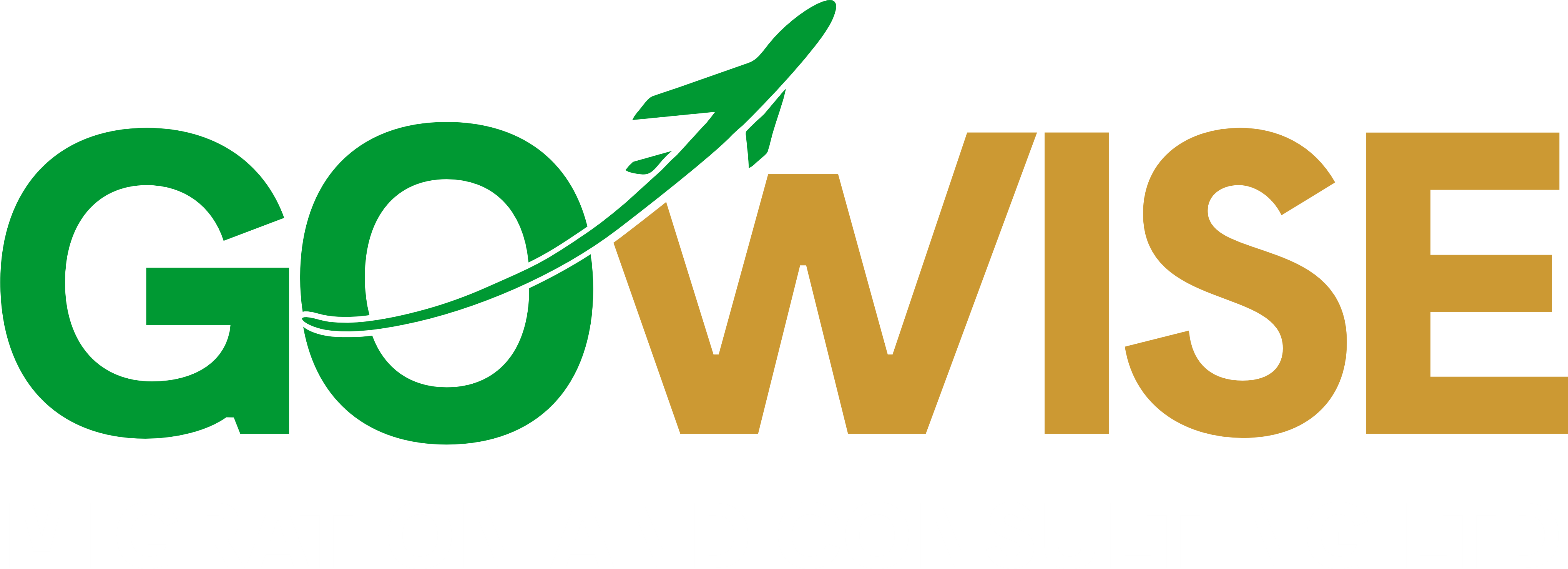 GoWise Migration Logo